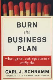 Burn the business plan