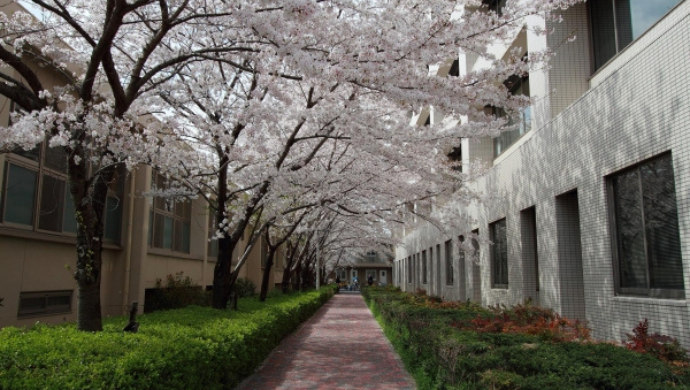 Nagoya University